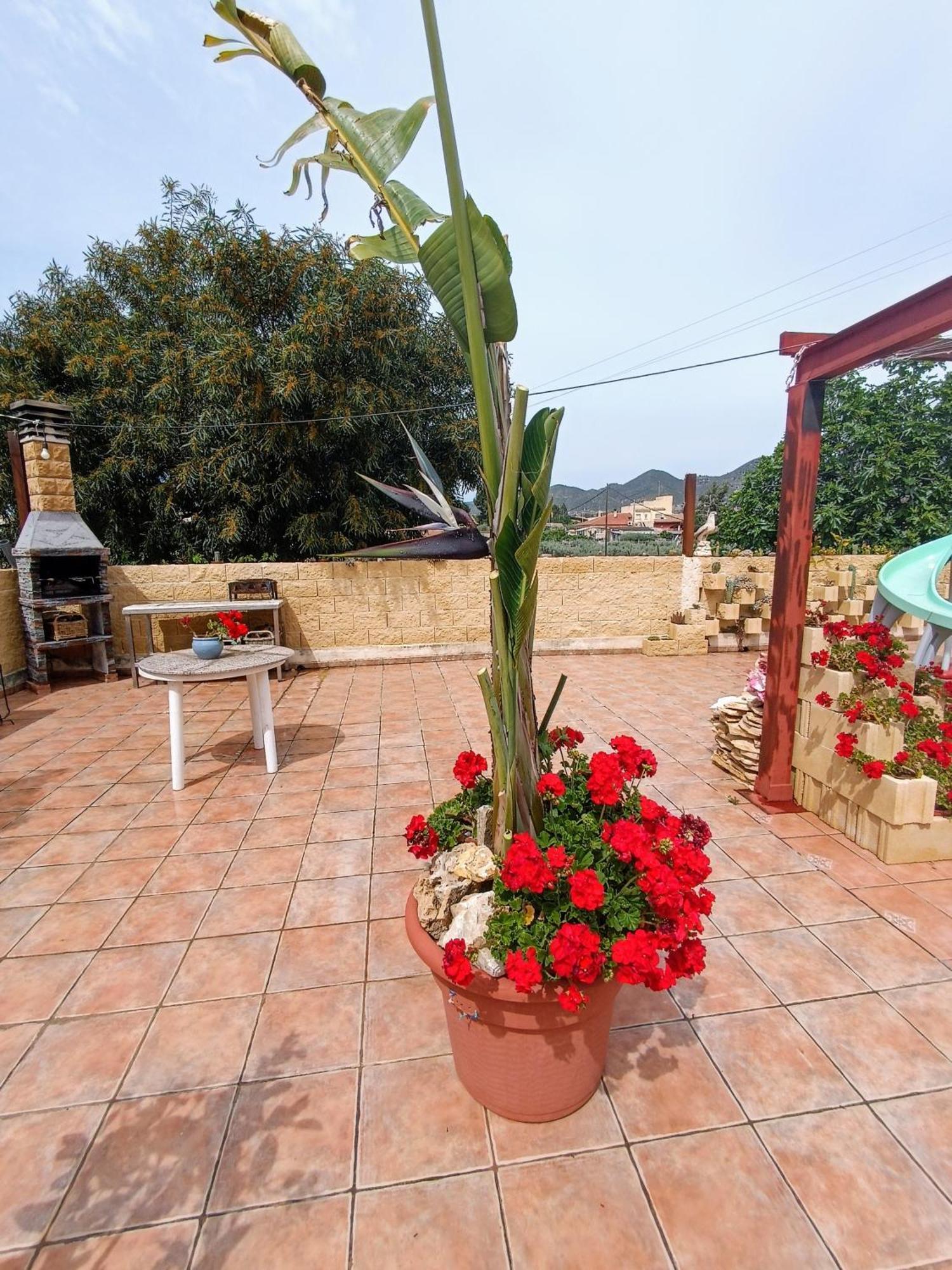 Casa Chalet Venta Ruizo Lorca  Eksteriør billede