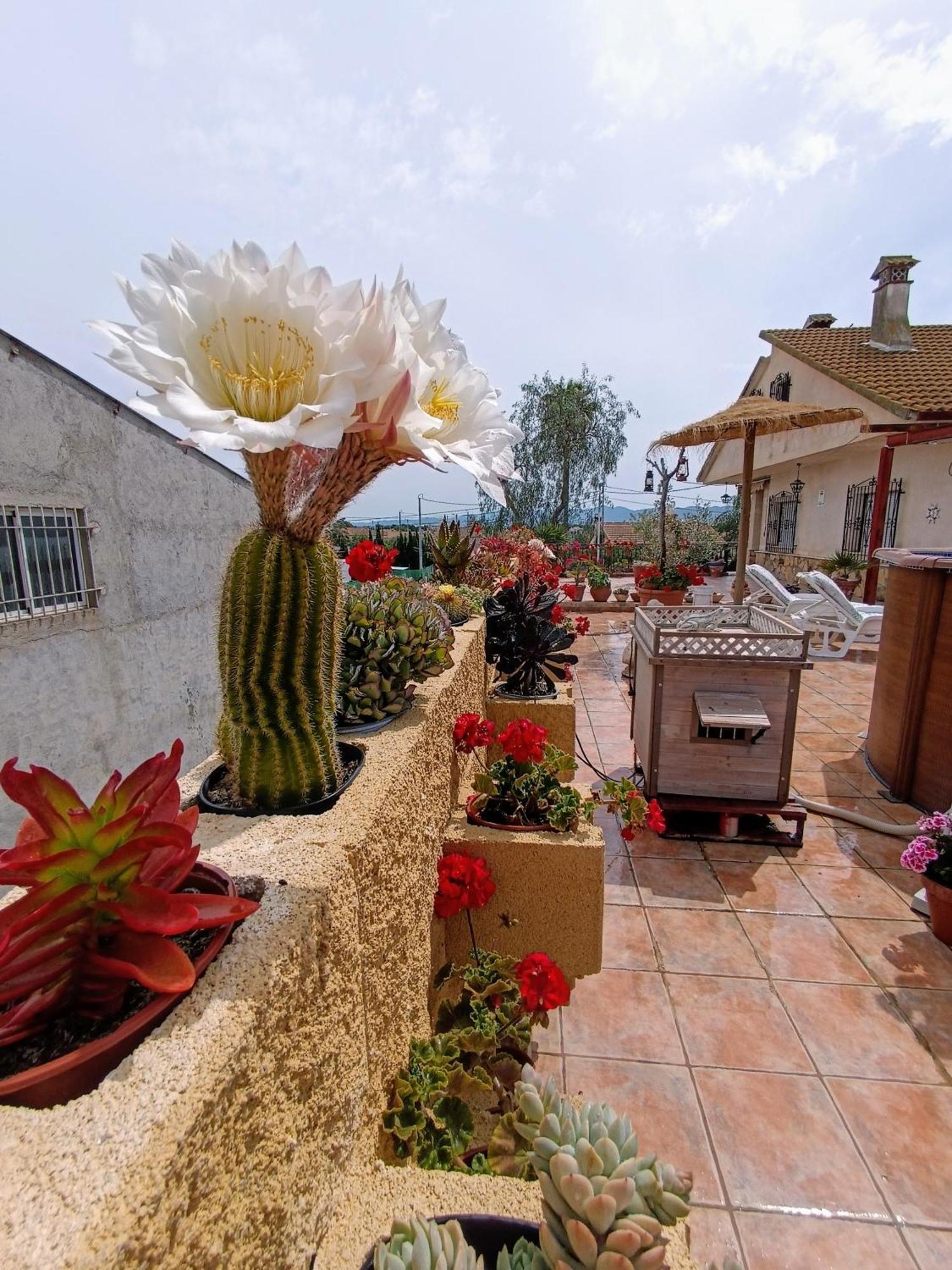 Casa Chalet Venta Ruizo Lorca  Eksteriør billede